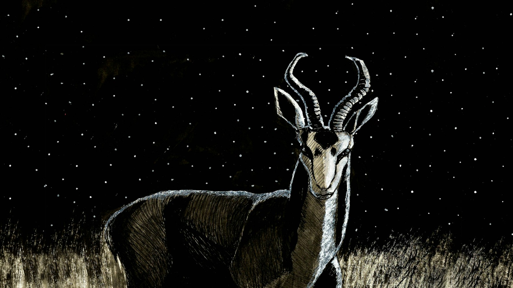 Antelope in a field on a starry night