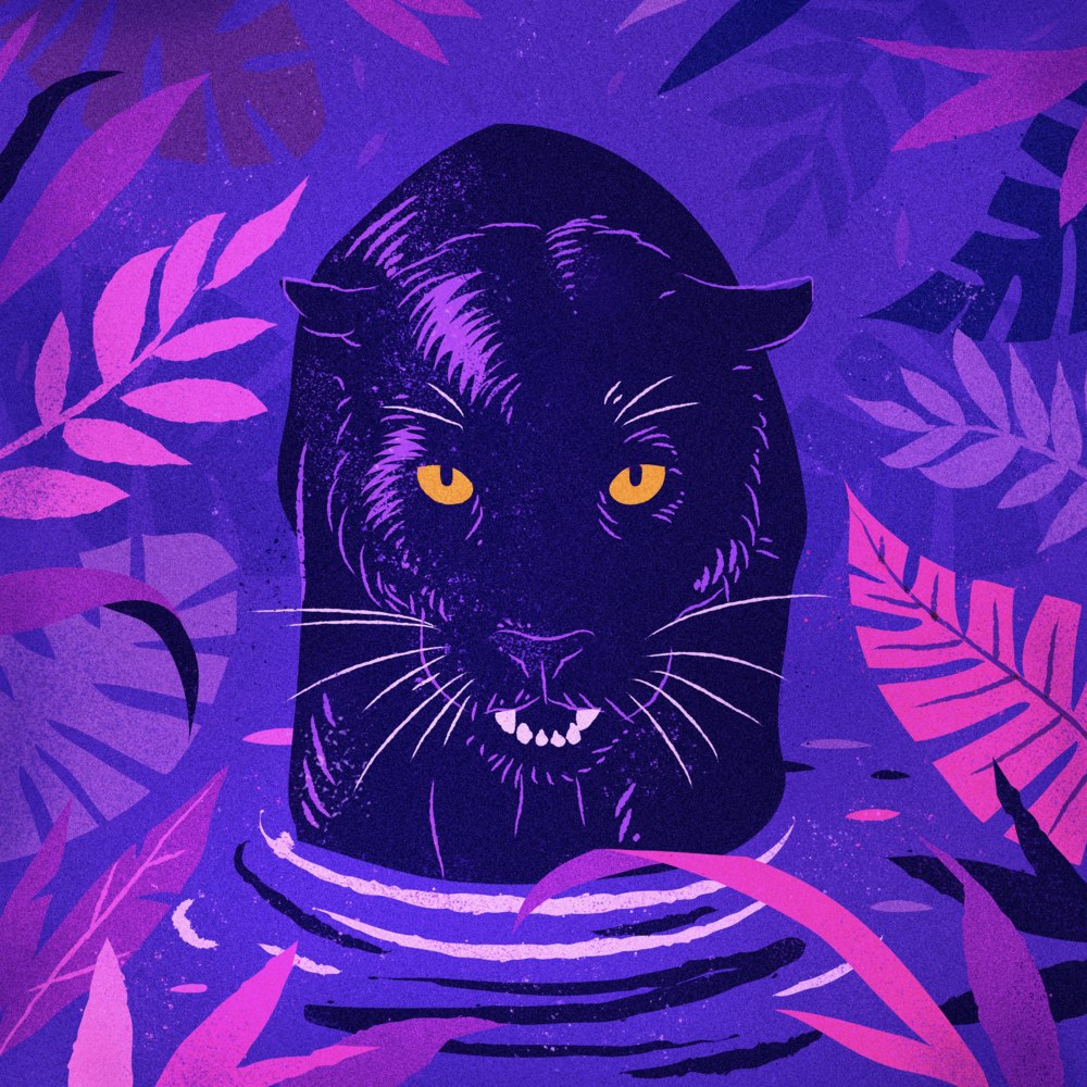 Free Art - Black Panther crouching in a river | Mixkit