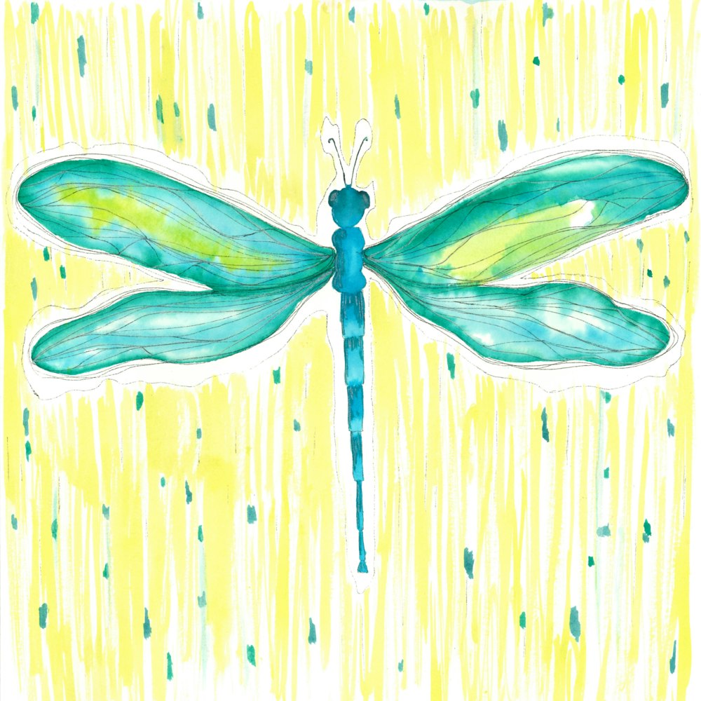 Blue and green dragonfly