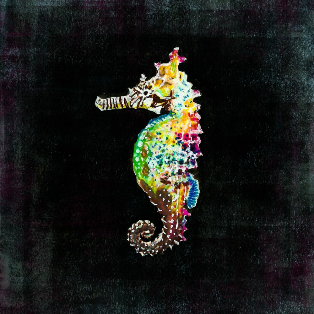 Brightly colored seahorse