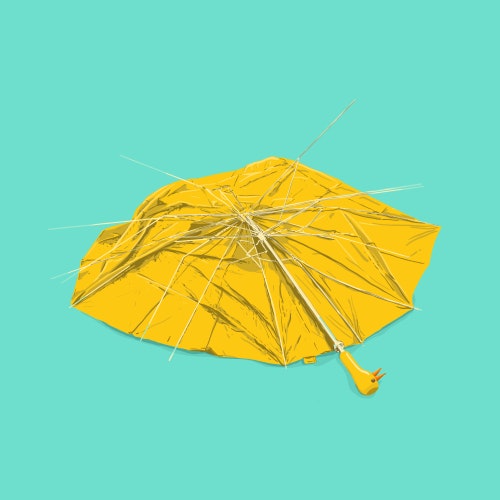 Broken umbrella in the rain
