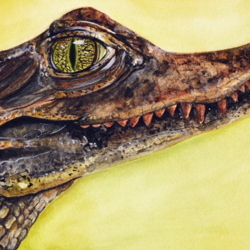 Crocodile with sharp teeth