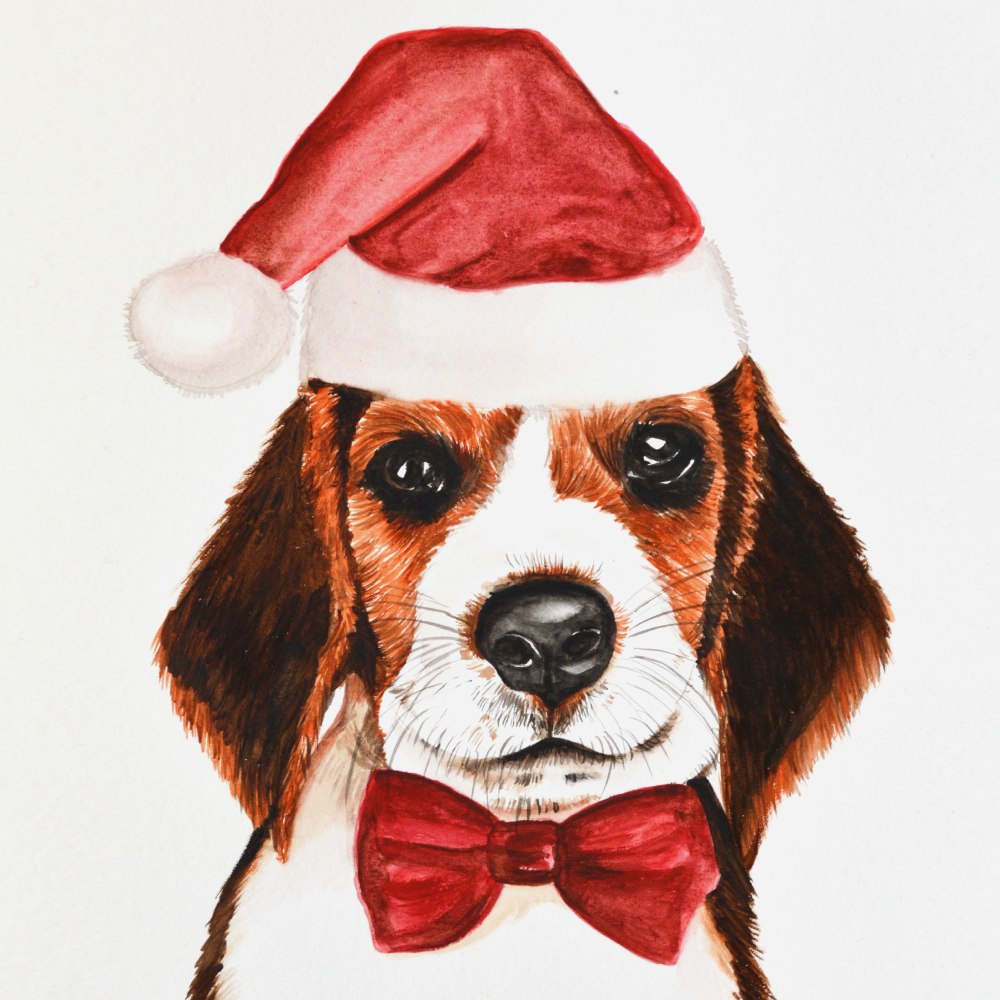 Dog wearing a Santa hat and red bow tie