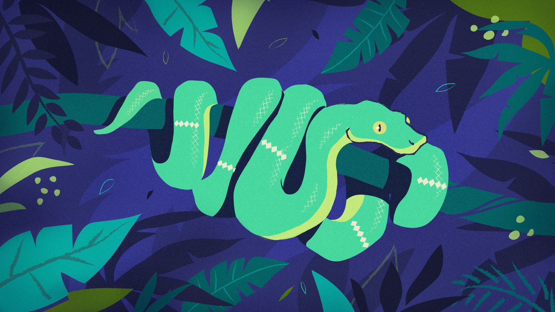Emerald Boa snake in the jungle