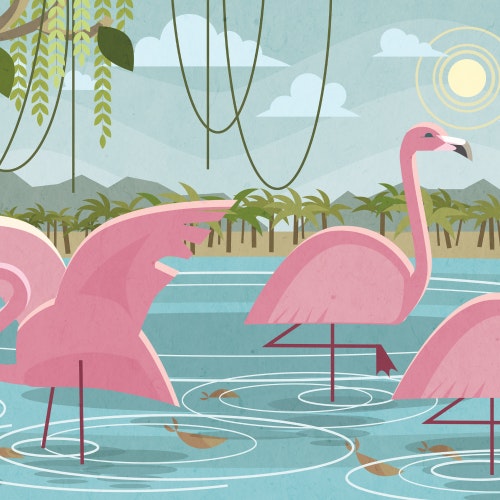 Flamingos at a watering hole