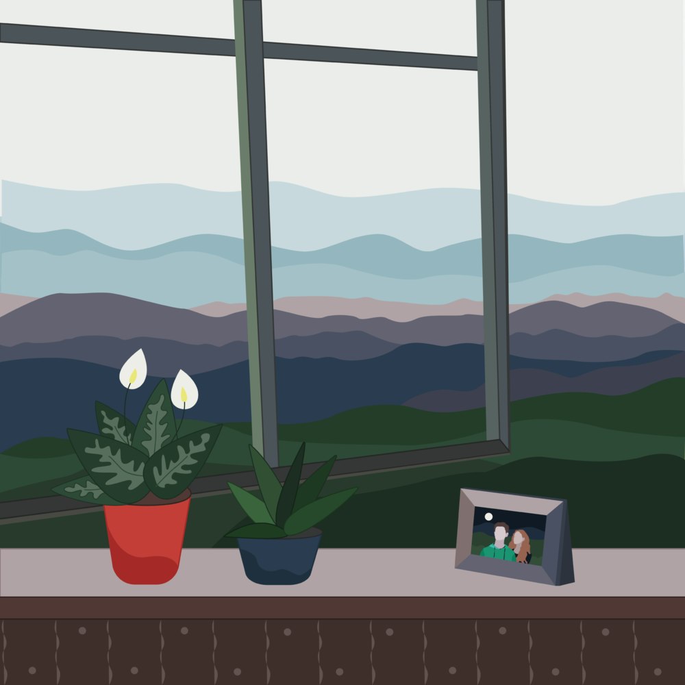 Houseplants and a framed photograph next to an open window in the countryside