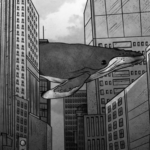 Large whale swimming through city buildings