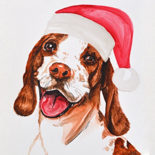 Puppy dog wearing a red Santa hat