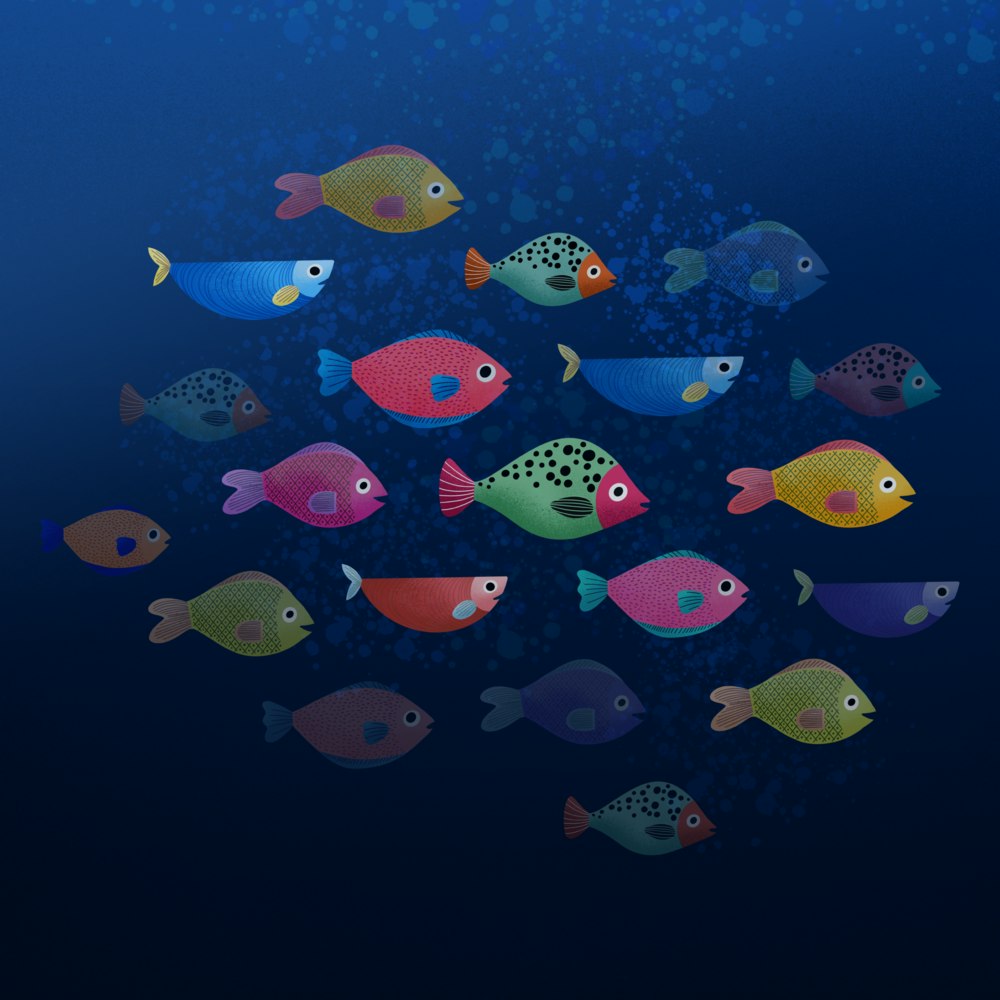 School of brightly colored fish swimming together
