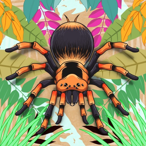 Tarantula spider in jungle folliage