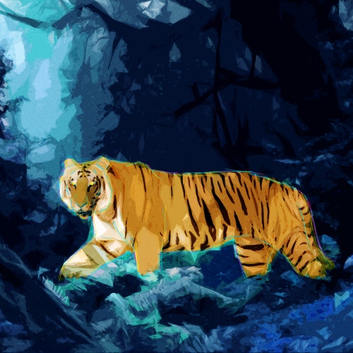 Tiger hunting in the jungle at night