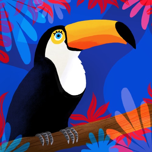 Toucan bird in the jungle