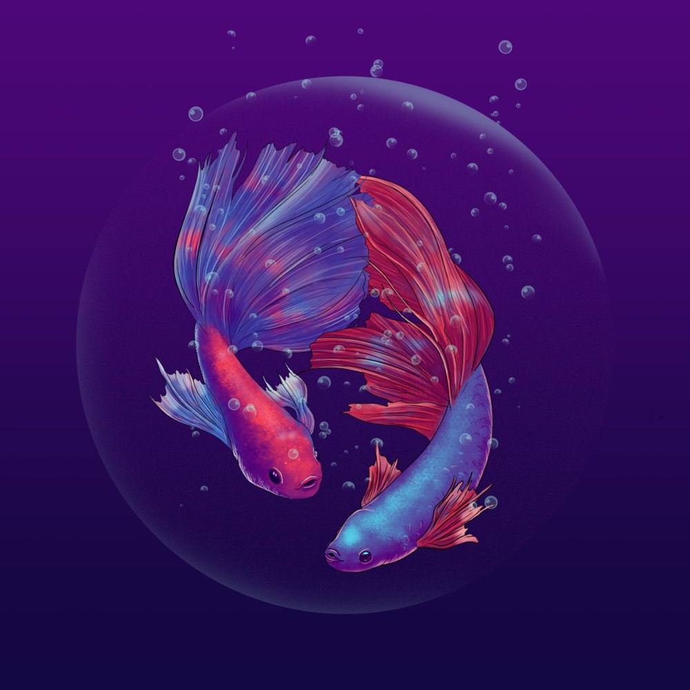 Free Art - Two colorful fish swimming inside a bubble | Mixkit