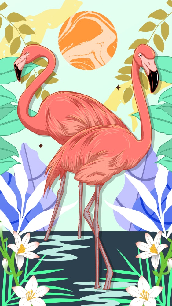 Two Flamingos standing in the water