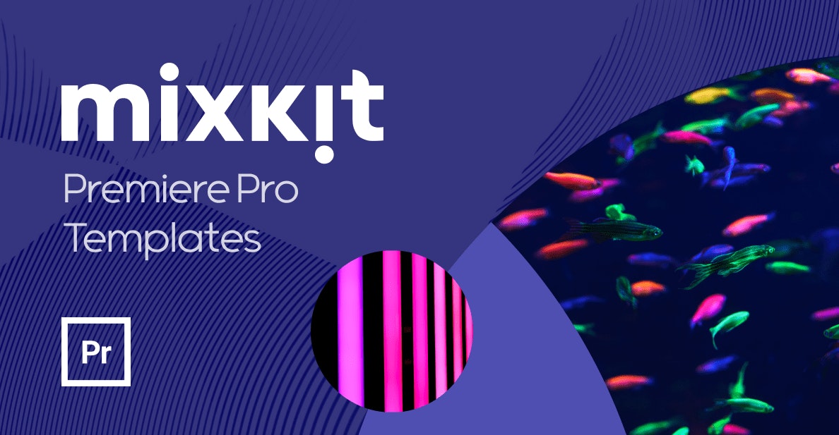 Free Premiere Pro Openers Template Downloads | Mixkit
