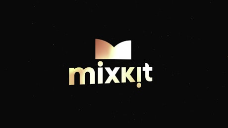 Free Premiere Pro Reveal Template Downloads | Mixkit