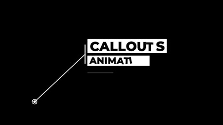 Animated call-out.