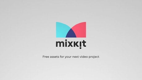 Free After Effects Logo Template Downloads Mixkit