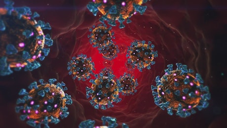 3D animation of a bloodstream with viruses.