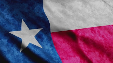 3D Texas Flag.