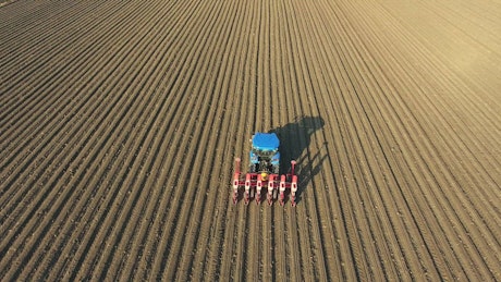 A blue tractor working on an agricultural field