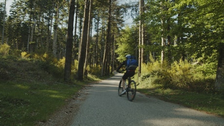 A boy riding a mountain bike through trees.