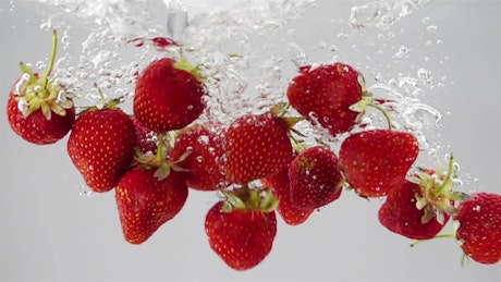 A bunch of strawberries falling through water.
