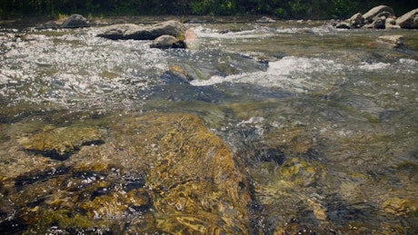 A crystal clear river water flowing on a sunny day.