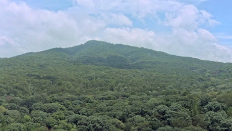 A mountain covered in a lush green forest on a sunny day.