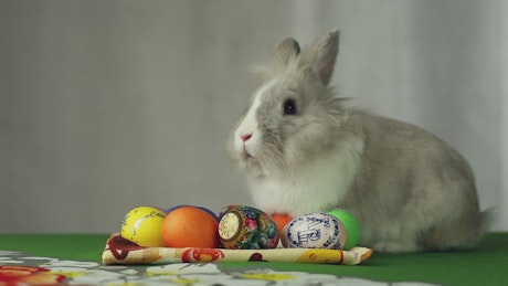 A rabbit sitting next to a collection of decorated easter eggs.