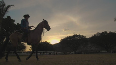 A rancher riding a horse at sunset