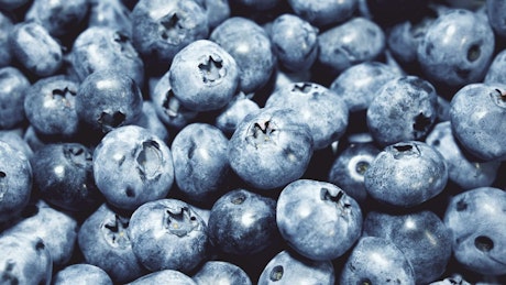 A rotating pile of fresh blueberries.
