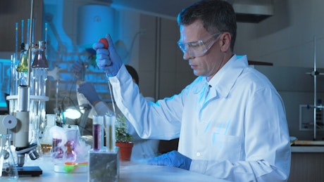 A scientist experimenting with a plant in the lab.
