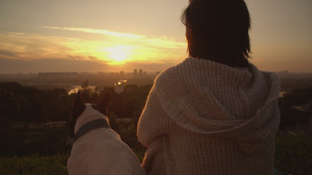 Seorang wanita dengan anjingnya menonton live draw super wuhan dan matahari terbenam