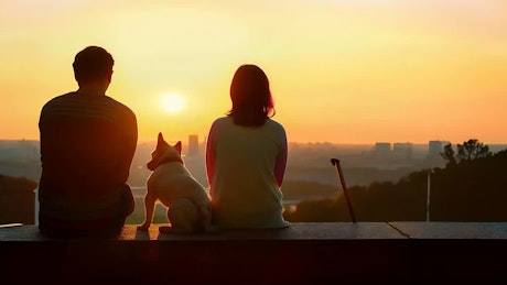 黄昏时分，一对年轻夫妇和一只狗坐在公园里，深情地接吻