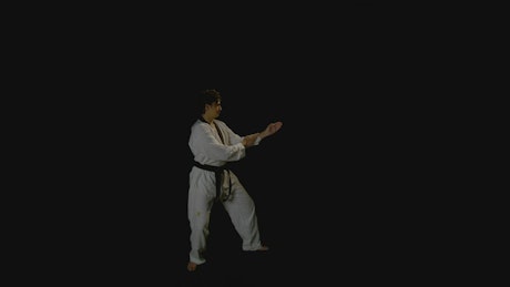 A young man practicing his karate moves.
