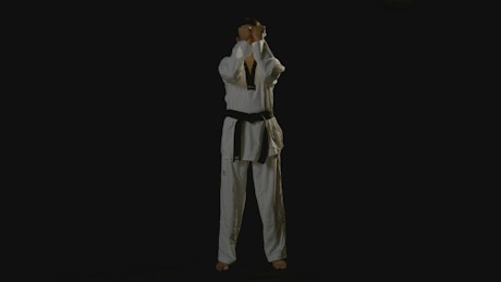A young man practicing karate moves.
