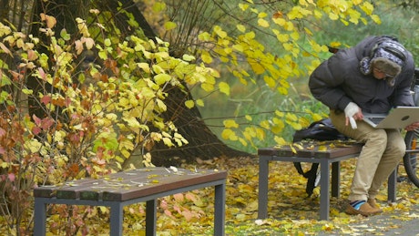 A young man with a laptop on a park bench