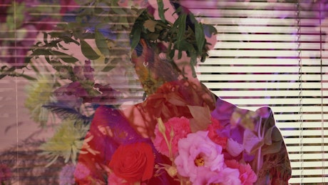 抽象的女性视频与一个LGBTQ男孩和鲜花