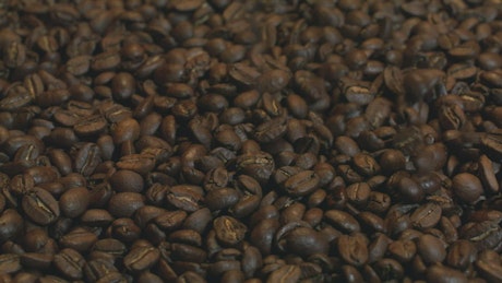 Abundant coffee beans in a close up shot.