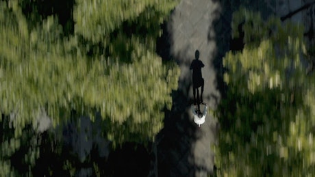 Aerial footage of a cyclist riding between trees.