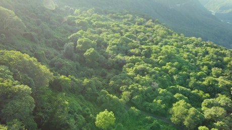 Aerial journey over a mountain range covered with vegetation.