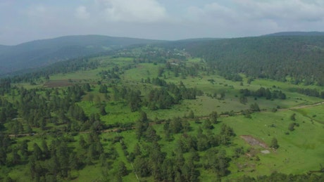 Aerial panorama of a forest covering a large mountain range.