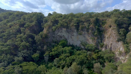 Aerial shot of a a big cliff surrounded by a lush forest on a sunny day.