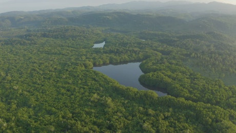 Aerial shot of a natural environment covered with trees.