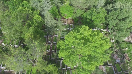 Aerial view of a cemetery