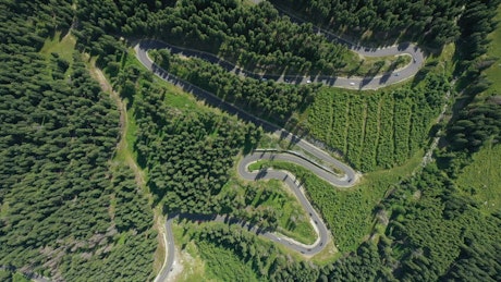Aerial view of a curvy road through the forest.