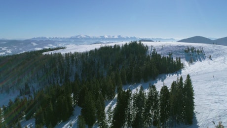 Aerial view of a frozen forest in the mountains