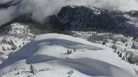 Aerial view of a mountainous forest in winter.