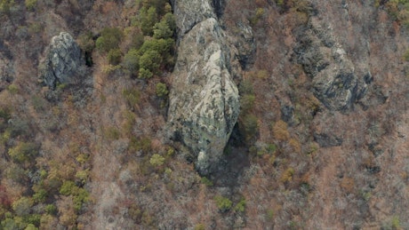 Aerial view of a rocky mountain in the forest.